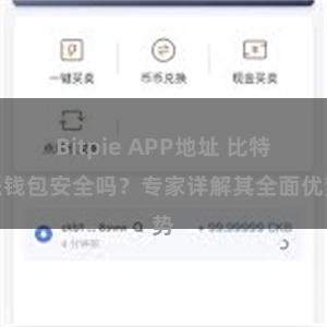 Bitpie APP地址 比特派钱包安全吗？专家详解其全面优势