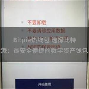 Bitpie热钱包 选择比特派：最安全便捷的数字资产钱包