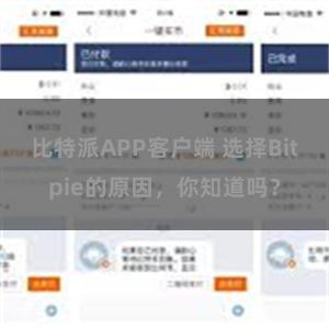 比特派APP客户端 选择Bitpie的原因，你知道吗？