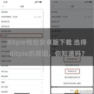 Bitpie钱包安卓版下载 选择Bitpie的原因，你知道吗？