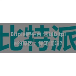 Bitpie跨平台 选择Bitpie的原因，你知道吗？