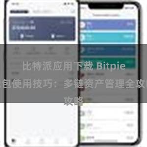 比特派应用下载 Bitpie钱包使用技巧：多链资产管理全攻略