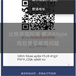 比特派国际版 解决Bitpie钱包常见使用问题