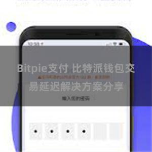 Bitpie支付 比特派钱包交易延迟解决方案分享