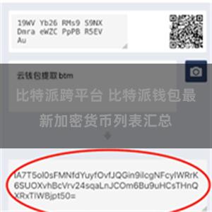 比特派跨平台 比特派钱包最新加密货币列表汇总