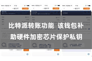 比特派转账功能  该钱包补助硬件加密芯片保护私钥