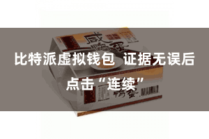 比特派虚拟钱包  证据无误后点击“连续”
