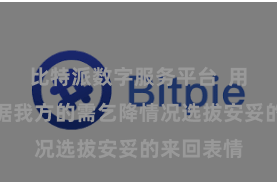 比特派数字服务平台  用户不错字据我方的需乞降情况选拔安妥的来回表情
