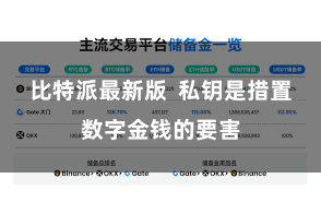 比特派最新版  私钥是措置数字金钱的要害